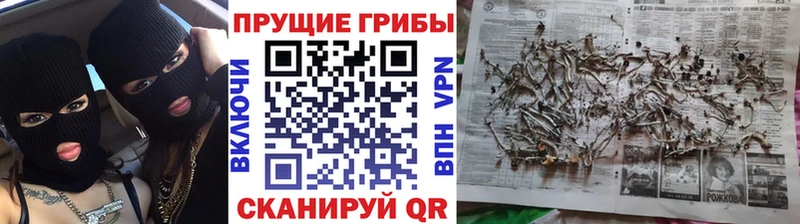 Галлюциногенные грибы мухоморы  Керчь 